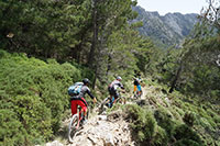 bike-arena kreta