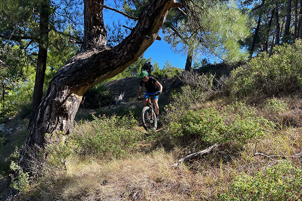 MARTINBIKE Blue Level