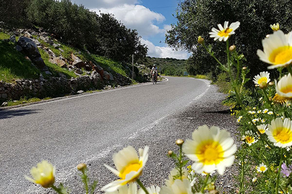 MARTINBIKE Road Cycling